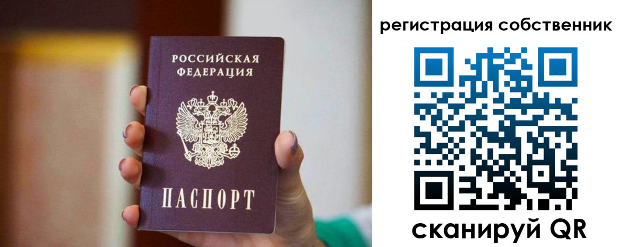 пропишу в квартире в Оленегорске